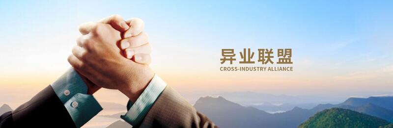 供应链平台 异业联盟
